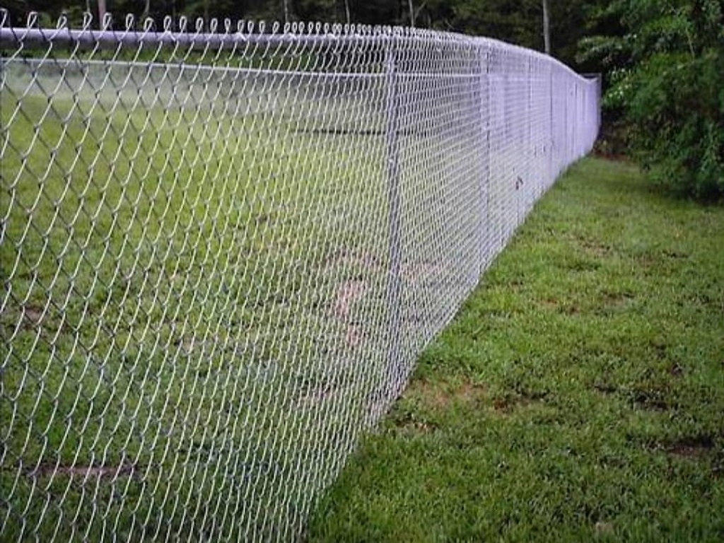 wire Netting